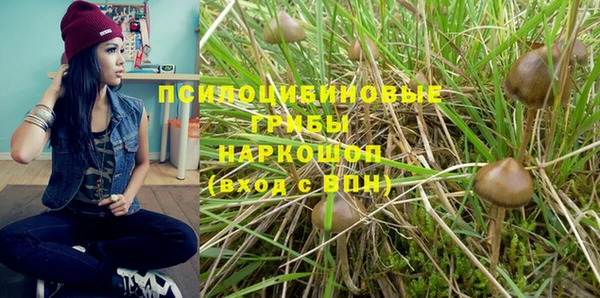 таблы Армянск