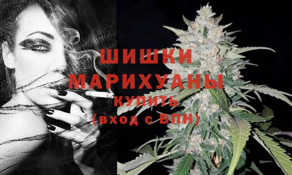 a pvp Аркадак