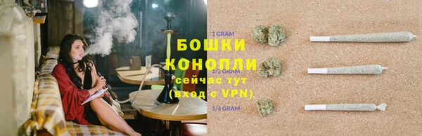 a pvp Аркадак